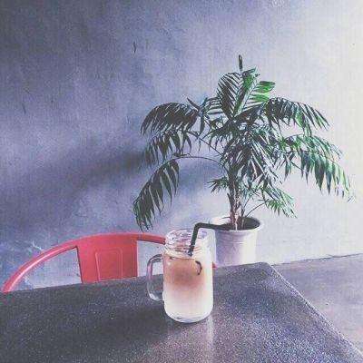 黏黏猫咖啡馆手机中文版下载